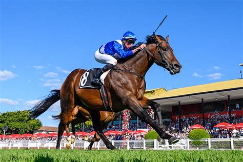 hawaii horse racing